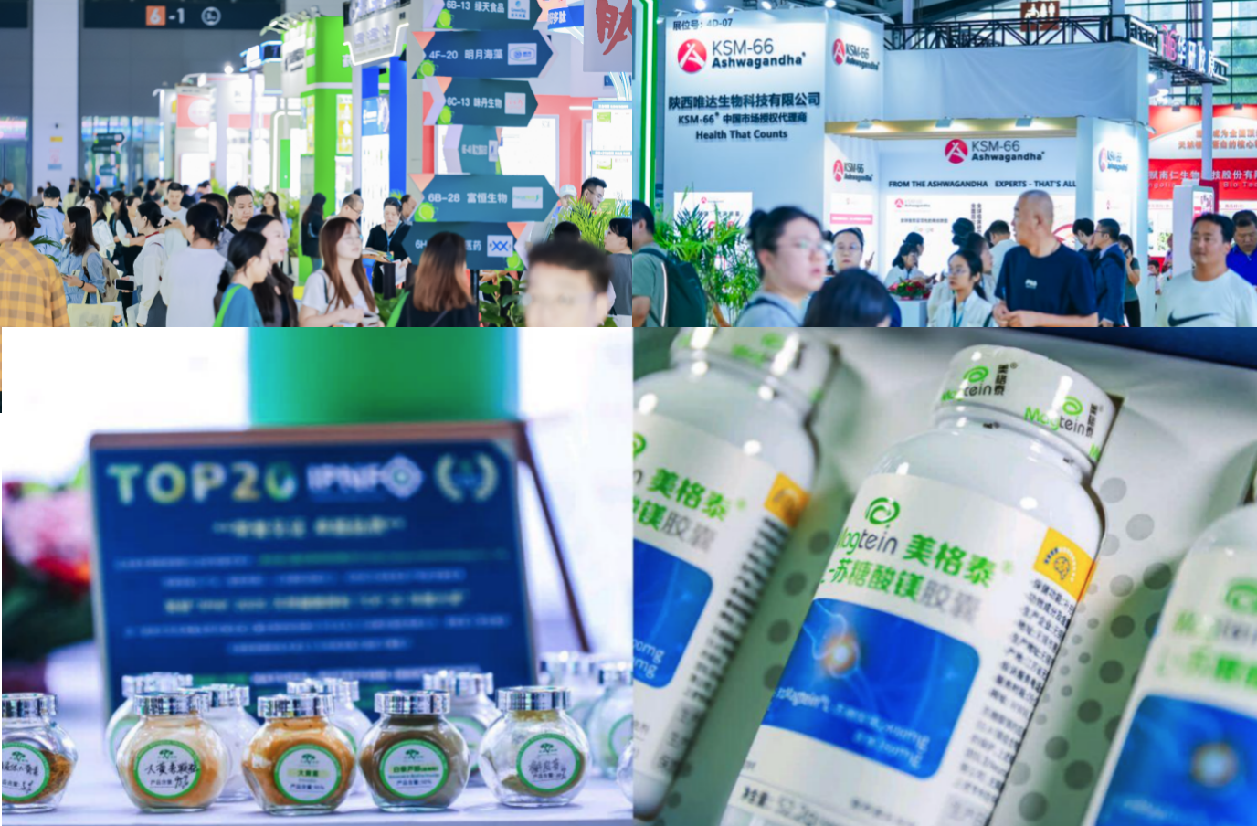 天然健康原料世界博览会